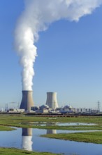 Cooling towers of the Doel Nuclear Power Station, nuclear power plant in the Antwerp harbour,