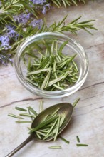 Rosemary, plucked rosemary leaves in a glass bowl and flowering sprig