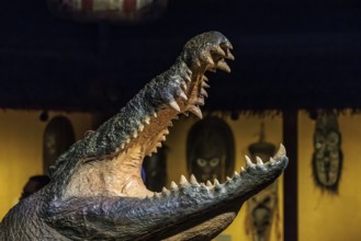 Taxidermy alligator with open mouth and large teeth on display at the St. Augustine Alligator Farm
