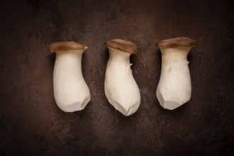 Fresh eringi mushrooms, raw, royal oyster mushrooms, three pieces, Asian cuisine, no people