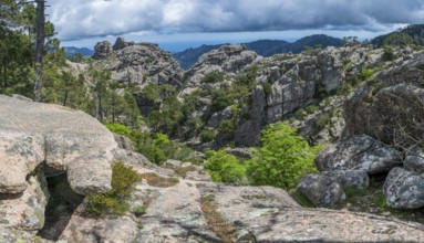 Hiking trail to the Cascade de Piscia di Gallo waterfall, Piscia di Ghjaddu, Alta Rocca, Corsica,