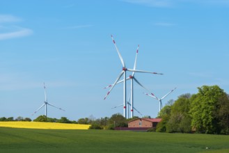 Small wind farm between agricultural areas, rape cultivation, barley, deciduous trees, close to the