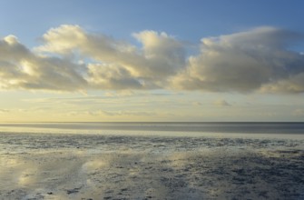North Sea, Wadden Sea at low tide, blue sky with low clouds (cumulus), Norddeich, Lower Saxony,