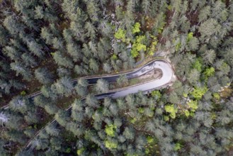 Road leads through forest, serpentines, aerial view, Corsica, France