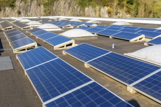 Rows of photovoltaic solar panels are mounted on a flat rooftop, providing clean and sustainable