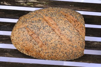 Top view of a world champion bread, multigrain bread, loaf with sesame, poppy and linseed on the