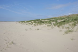 Empty lonesome beach and sea and blue sky