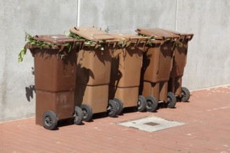 Organic bins, waste bins, Germany