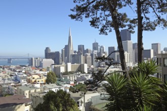 View from Taylor Street to Downtown, Hill, San Francisco, CA, USA