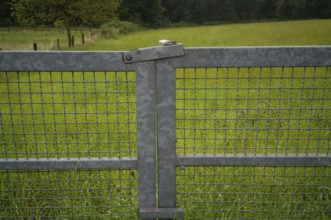 Metal gate for a paddock