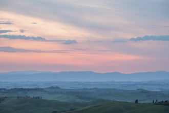Hilly landscape at sunrise, morning light, Tuscany, Siena province, Italy