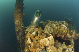 Diver finds live ammunition from World War 2 on Japanese warship Helmet Wreck, Micronesia, Palau