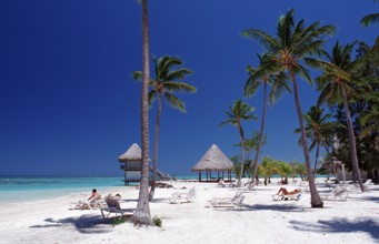 Dream beach, Punta Cana, Caribbean, Dominican Republic
