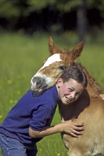 BOY WITH NORMAN COB FOAL, NORMANDY IN FRANCE