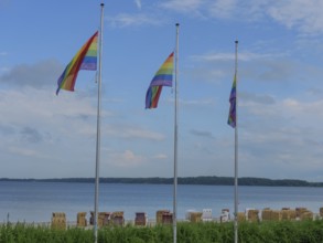 Three rainbow flags waving on the beach above a row of beach chairs, calm water in the background,