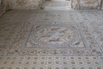 Floor mosaic, House of Fountains, Roman ruins, Conimbriga, Condeixa-a-Velha, Condeixa-a-Velha,