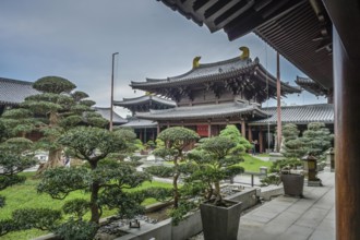 Maitreya Hall, Chi Lin Nunnery, Sheung Yuen, Hong Kong, People's Republic of China