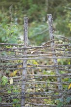 Deadwood hedge in a meadow, practical nature conservation, nesting place and foraging site for