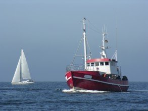 The fishing cutter Tanja just outside its home port of Heiligenhafen. Private anglers can book