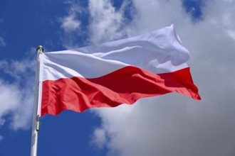 The flag of Poland flutters in the wind in a blue sky with white clouds