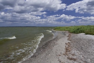 On the Achterwasser on the Gnitz peninsula, Usedom Island, Germany