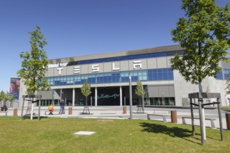 Tesla Giga-Factory, Grünheide, Brandenburg, Germany