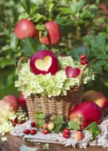 Still life of a rustic wicker basket with a red apple with a heart, white hydrangea flowers and