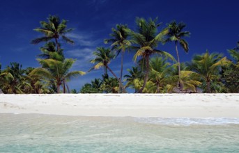 Sandy beach beach, Punta Cana, Caribbean, Dominican Republic
