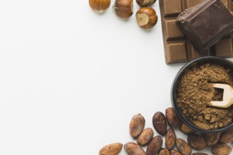 Cocoa beans chestnuts copy space. Resolution and high quality beautiful photo