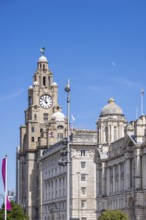 LIVERPOOL, UK - JULY 14 : The Royal Liver building with a clock tower in Liverpool, England on July