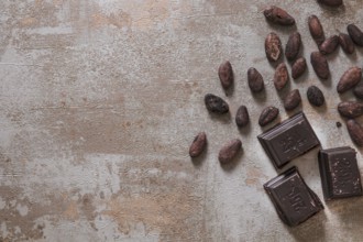 Chocolate pieces with raw cocoa beans rustic background. Resolution and high quality beautiful