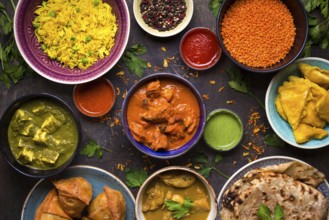 Assorted indian food on dark wooden background. Dishes and appetizers of indian cuisine. Curry,