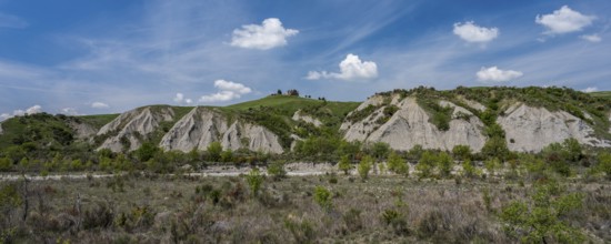 Biancane di Leonina, hilly landscape with cypresses, Crete Senesi, province of Siena, Tuscany,