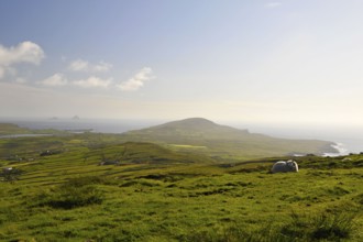 View from Geokaun Mountain, County Kerry, Ireland, Valentia Island