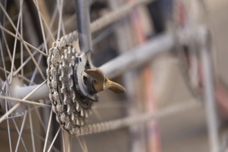 Close-up of a dusty bicycle sprocket and blurred background, at the legendary cycling race