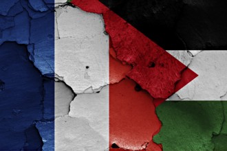 Flags of France and Palestine painted on cracked wall