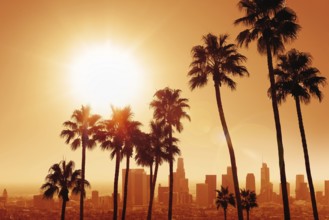 the skyline of los angeles with palm trees during sunrise