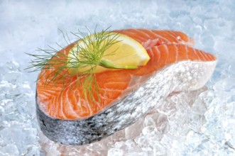 Salmon fillet on ice with lemon and dill