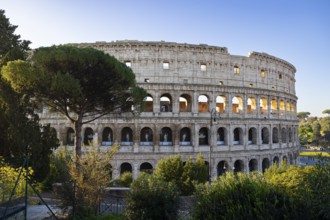 Colosseum, Rome, Italy