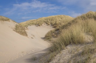 Scenic view of sand dunes covered with dry grass under blue sky
