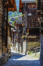 Old wooden houses in log construction, decorated with flowers, village street, historic village