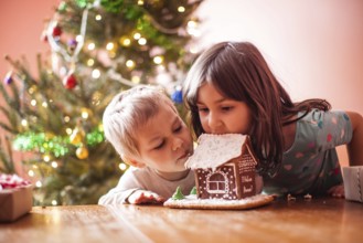 Cute children nibbling a gingerbread cookie house at christmas time