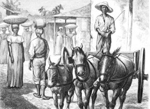 Women from the countryside, water carriers, cabronet, coachmen, around 1888 on the island of Haiti,