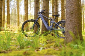 An e-bike stands on soft mossy ground in the dense, peaceful forest, e-bike excursion, Gechingen,