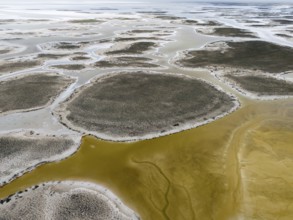 Aerial view of salt lakes and desert vegetation in a desolate landscape, aerial view, salt lake,