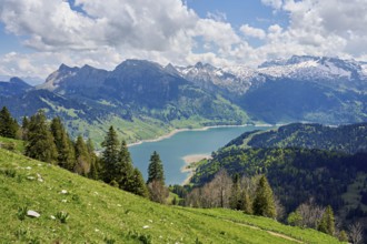 View of the snow-covered Alps and Lake Wägital, Canton Schwyz, Switzerland