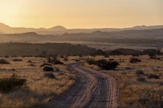 Sandy track, desert landscape in the evening light at sunset, backlit, Brandberg, Erongo,