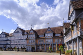 Town market, market square with town hall, Wolfenbüttel, Lower Saxony, Germany
