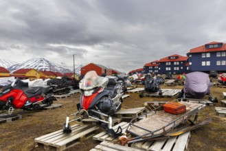 Sikdoos in front of coloured wooden houses, Longyearbyen, Spitsbergen, Svalbard