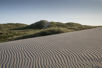 Dunes, wave pattern in the sand, standing grass, dune landscape, holiday settlement, blue sky,